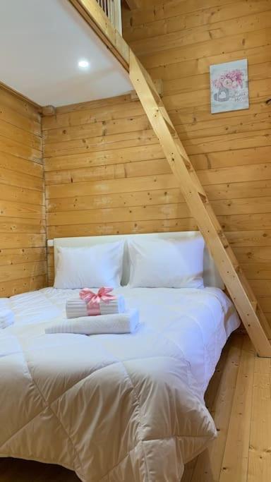 Quinta Pedro E Ines Villa Bragança Kültér fotó