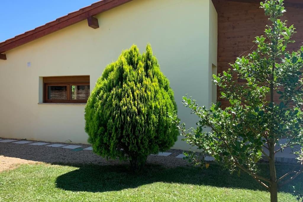 Quinta Pedro E Ines Villa Bragança Kültér fotó