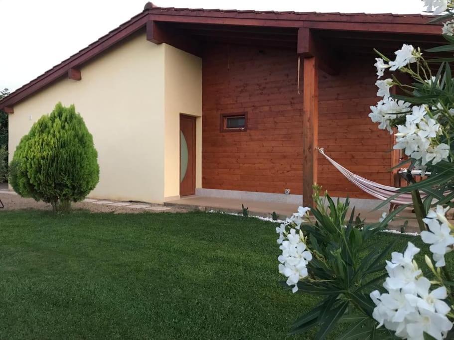 Quinta Pedro E Ines Villa Bragança Kültér fotó