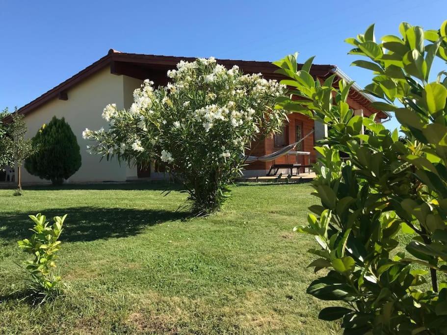 Quinta Pedro E Ines Villa Bragança Kültér fotó