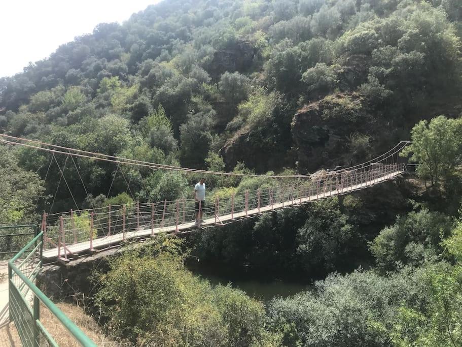 Quinta Pedro E Ines Villa Bragança Kültér fotó